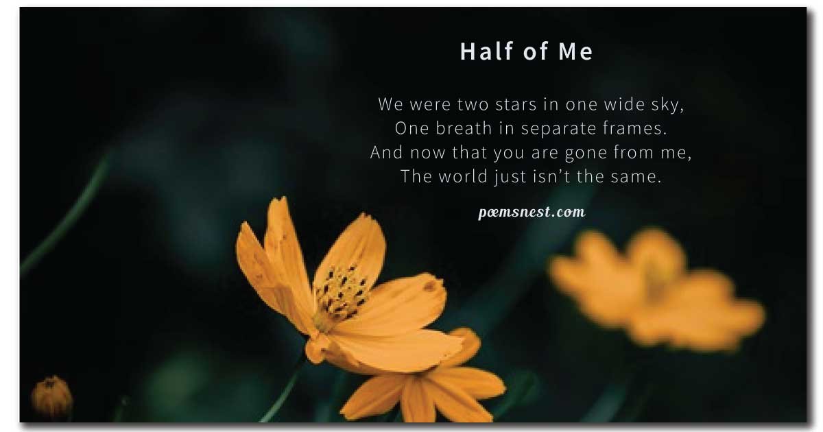 20 Sister Poems About Life That Will Make You Cry