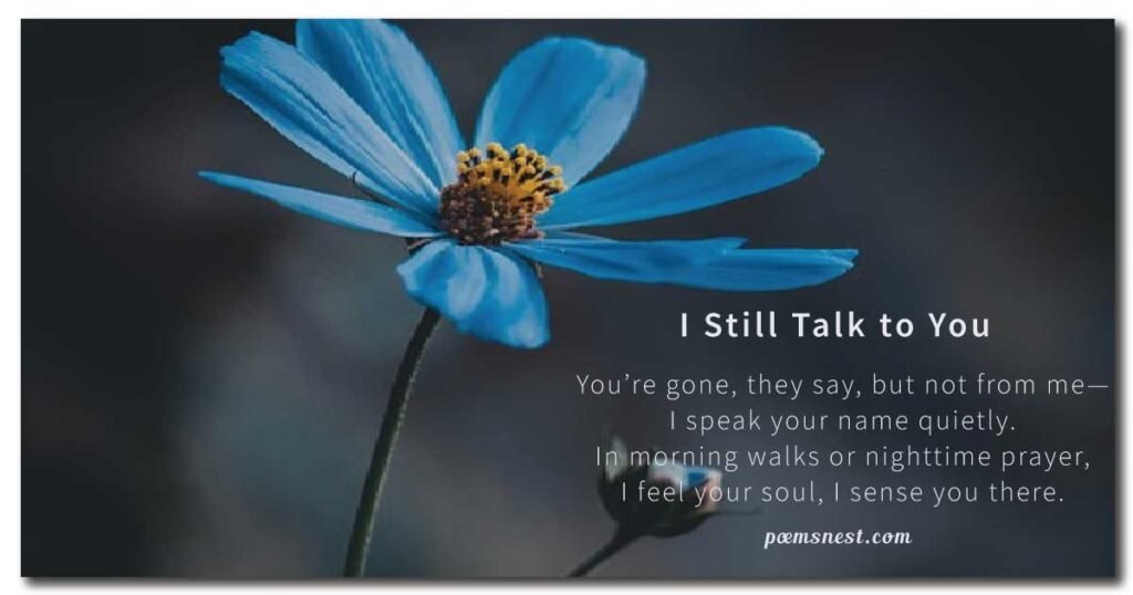Poems for Long-Distance or Lost Siblings
