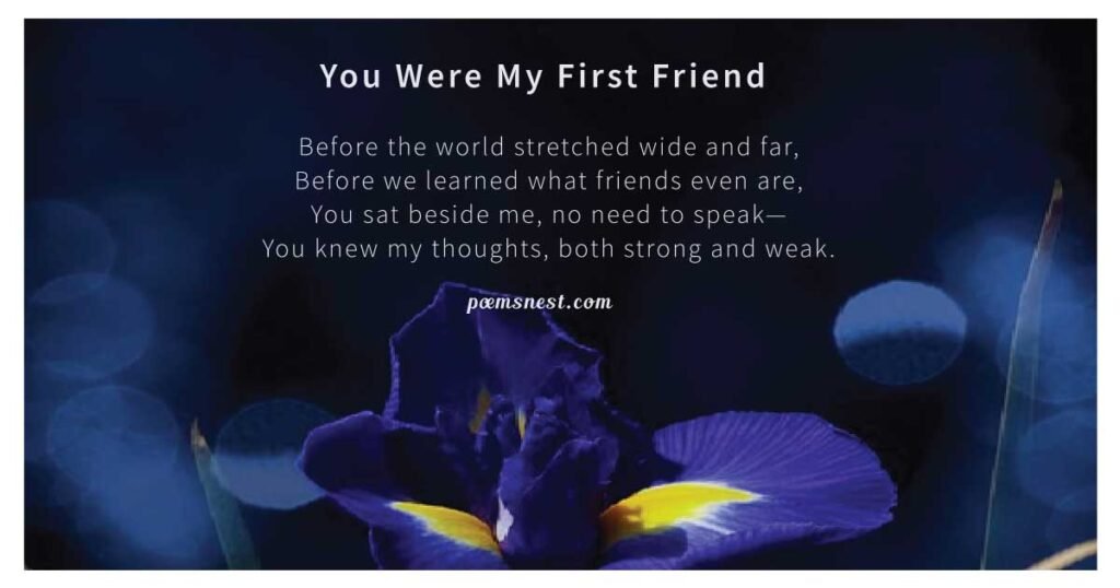 brother poems from sister