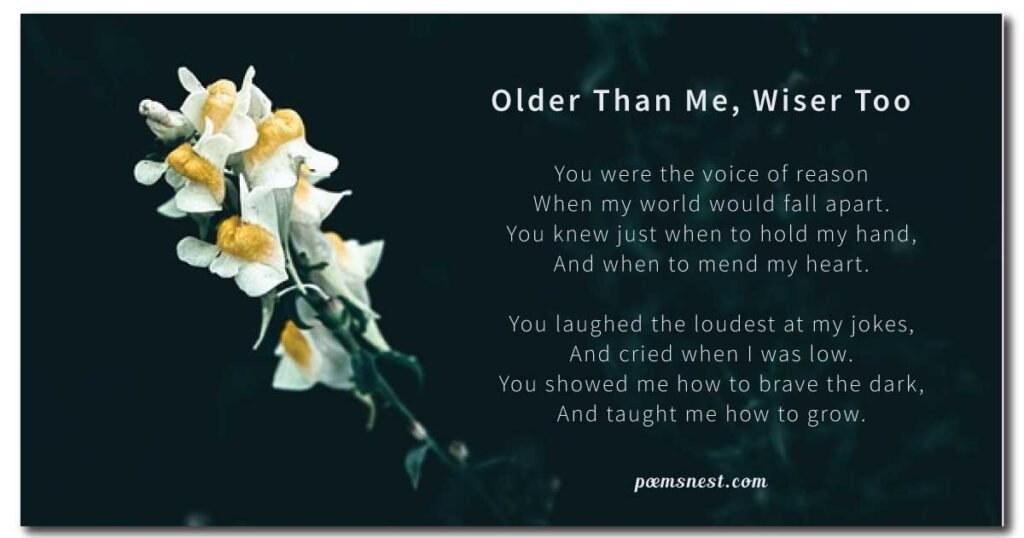 loss of a sister poem