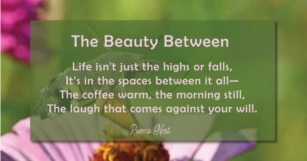 Beautiful Poems About Life