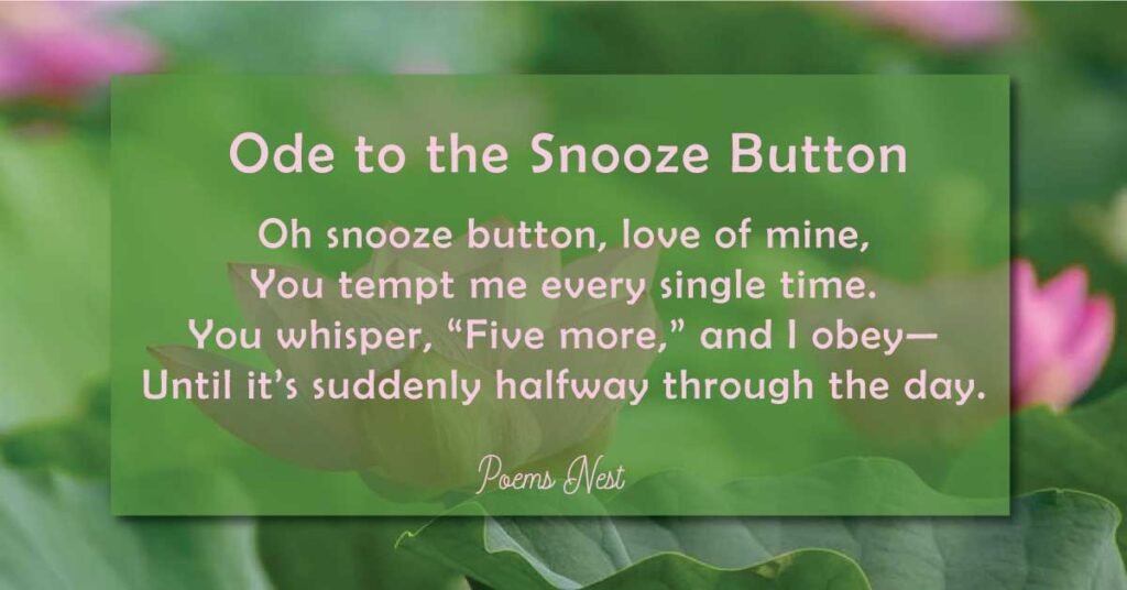 Funny Poems About Life