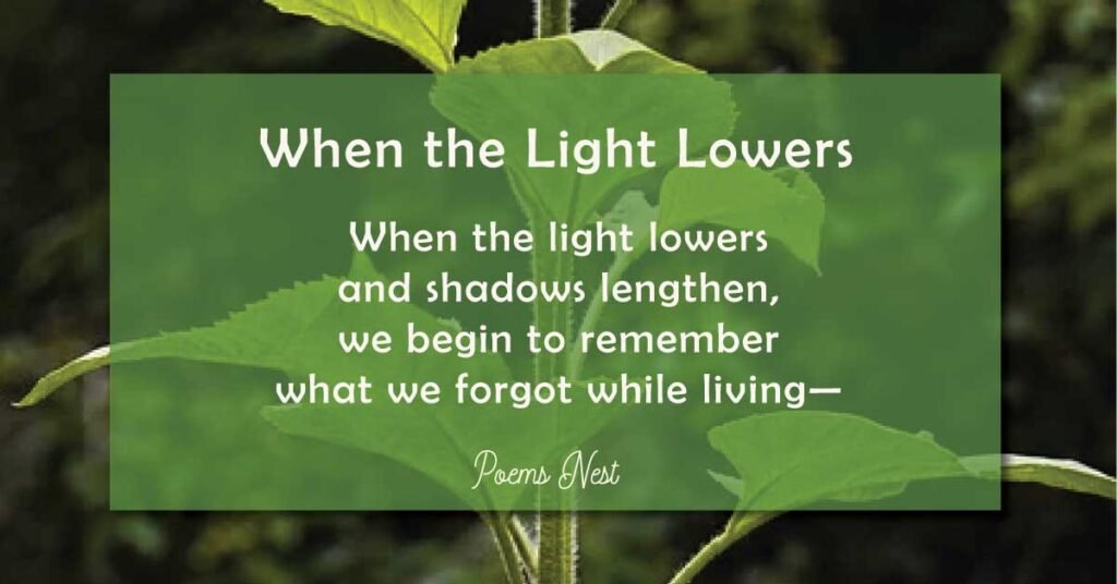 Powerful Poems About Life and Death