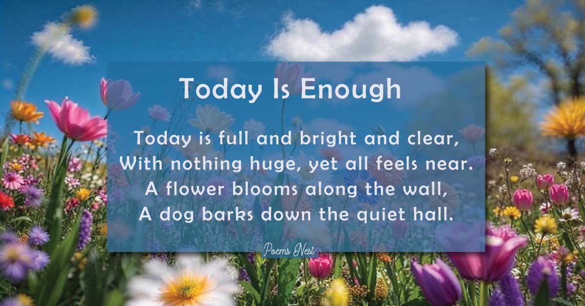 Top Poems About Life for Every Emotion