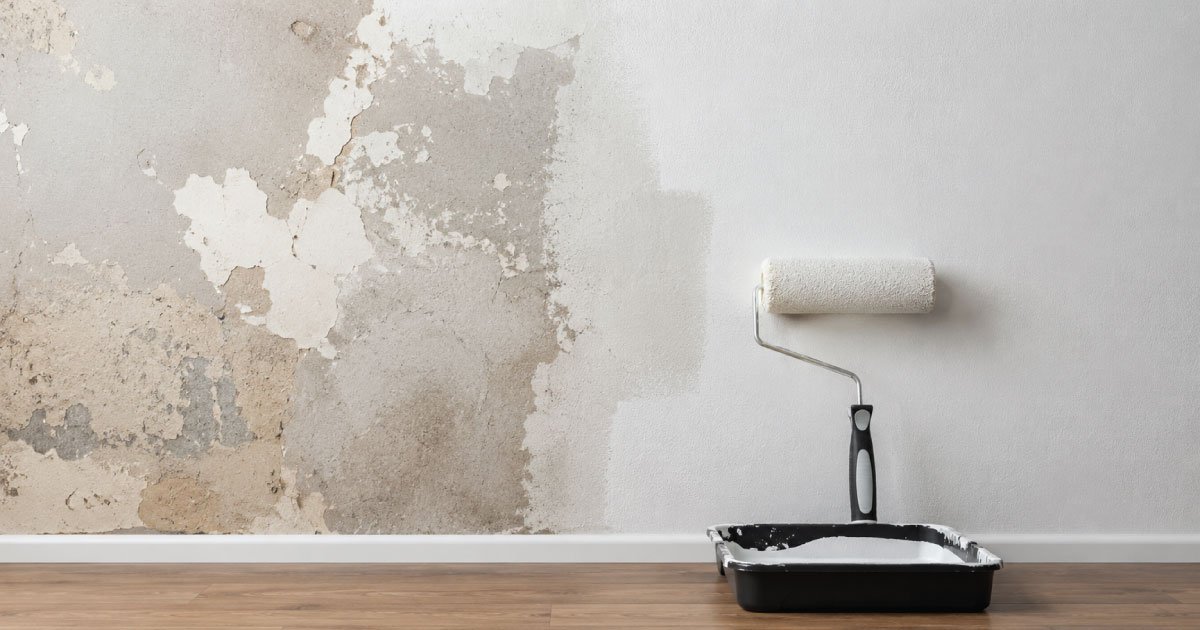 How to Paint a Damaged Wall: A Complete Step-by-Step Guide