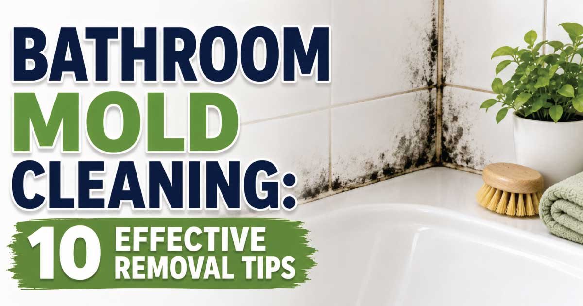 Bathroom Mold Cleaning: 10 Effective Removal Tips