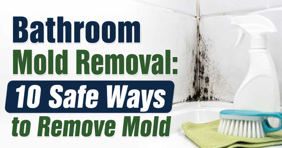 Bathroom Mold Removal: 10 Safe Ways to Remove Mold