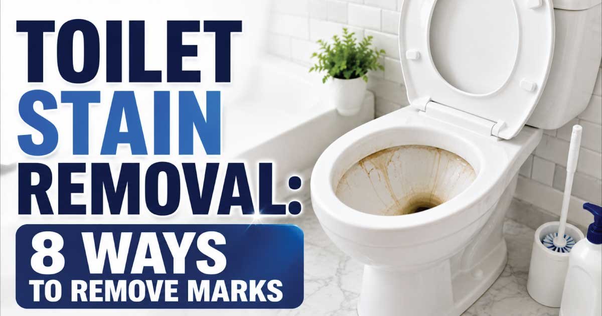 Toilet Stain Removal: 8 Ways to Remove Marks
